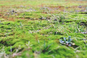 7 dicas na hora de comprar um terreno